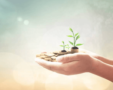 How Much Money Do I Need to Set Up a PAF?