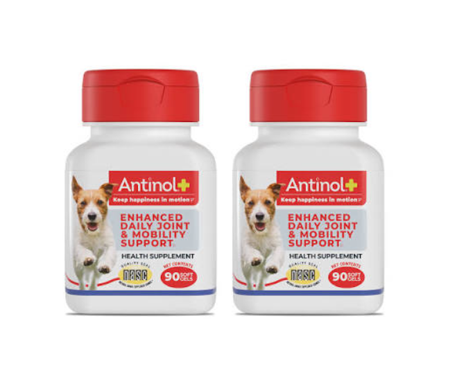 Overall Strategies to Ensure Good Movement in Cats and Dogs